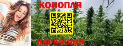 spice Мариинск