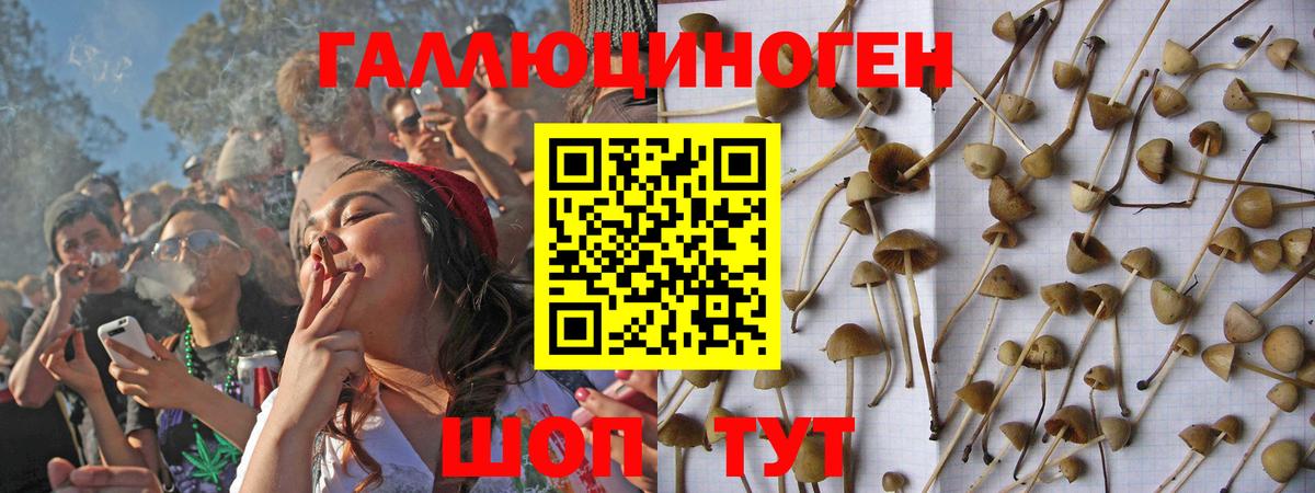 Дзержинск  Галлюциногенные грибы MAGIC MUSHROOMS  Вход с VPN 